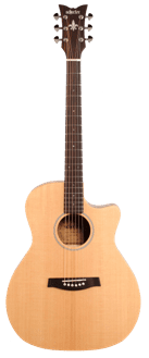 Schecter Deluxe Acoustic Guitar