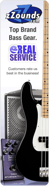beginner bass guitar