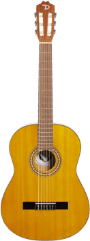 Dean Classical Acousitc Guitar Package